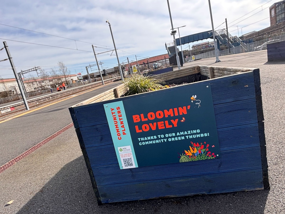 Image shows one of the new planters at the station
