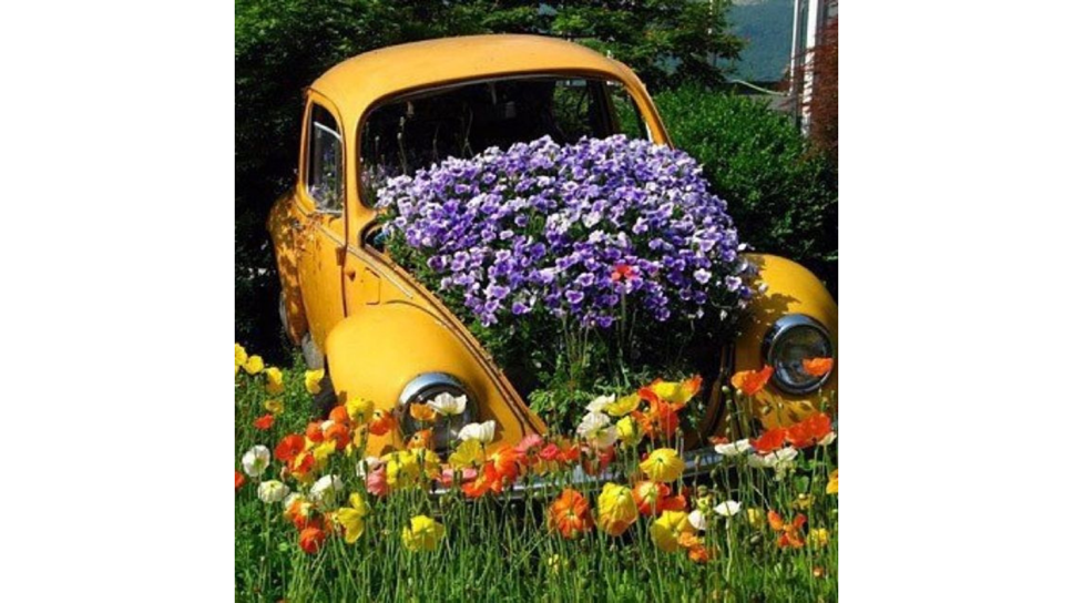 VW Beetle with flower-2