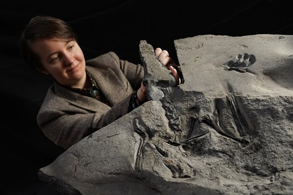 World’s largest Jurassic pterosaur unearthed on Scottish island: PhD student Natalia Jagielska unveils 170 million year old fossil Credit- Stewart Attwood