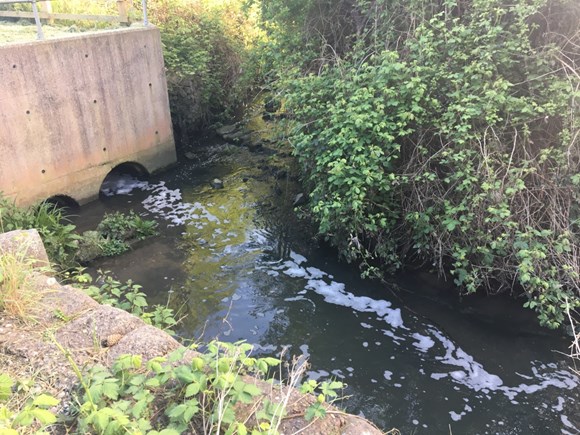 Tunbridge Wells insecticide pollution traced to sewage plant: Somerhill Stream  Pic 1 - North Farm - 3 May 18