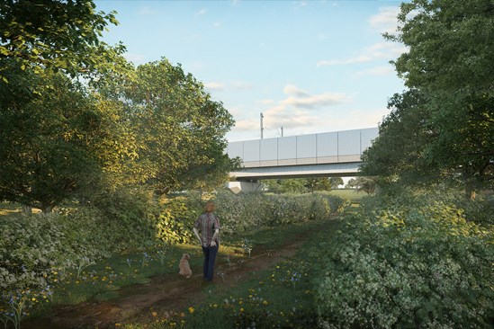 Balsall Common viaduct - landscape option - additional woodland