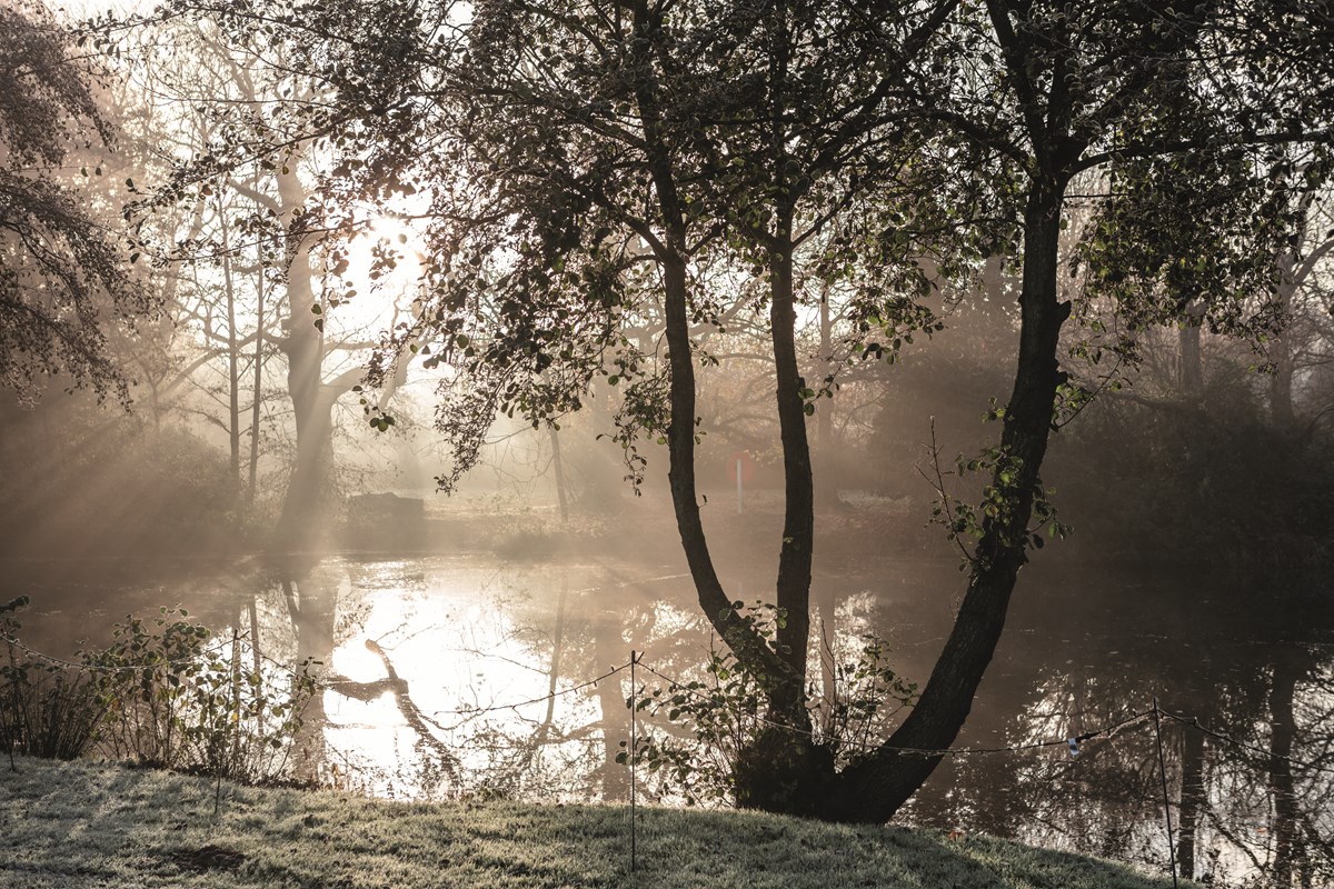 Gunton Hall Lake