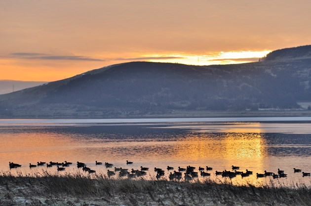 Tayside In Tune With Nature winner announced: Loch Leven National Nature Reserve-4