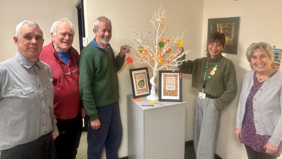 FODDC Cabinet - Pledge Tree