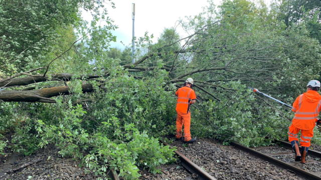 Network Rail attending a fallen tree in the North West