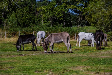 £15m extra funding for nature 5