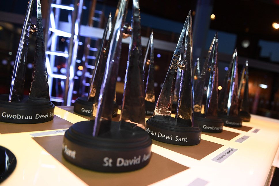 St David Awards-2