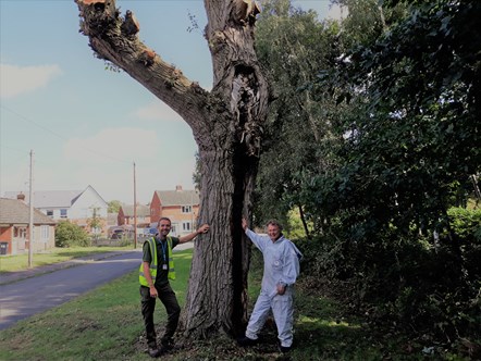 Tree inspector Dean Hickton and apiary manager Nick Templar (1)