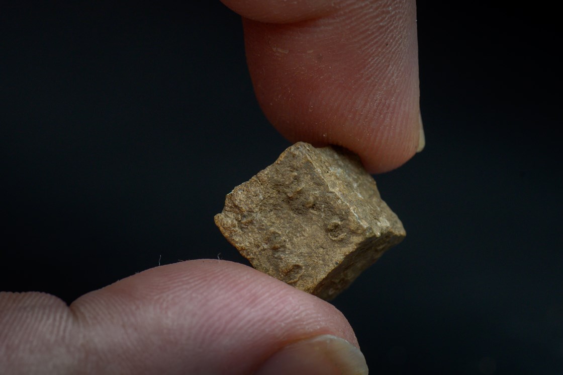 Roman die uncovered during the archaeology excavation at Blackgrounds, Chipping Warden, Northamptonshire-13