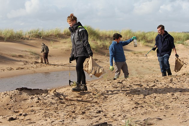 Challenge to bring Forvie beach clean to next level: Forvie NNR - SNH staff volunteer day - picking up rubbish on Forvie beach clean - credit SNH