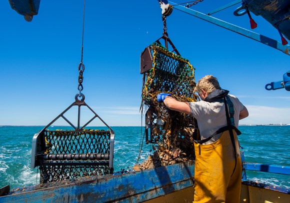 New man overboard prevention campaign launched as data shows 85% of fatalities in the fishing industry involve people ending up in the water: Home and Dry Fisherman working safely on deck