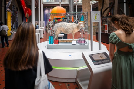 Visitors to the National Museum of Scotland with Dolly the sheep. Image © Andy Catlin