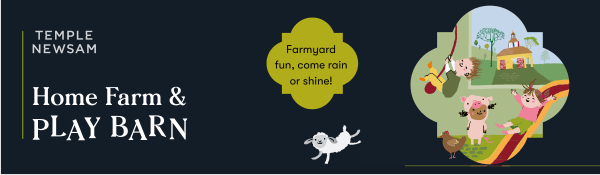 Temple Newsam Play Barn