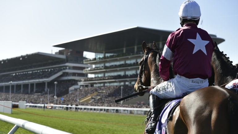 Passengers issued top tips as figures show almost 13,000 travel by rail to Cheltenham Festival