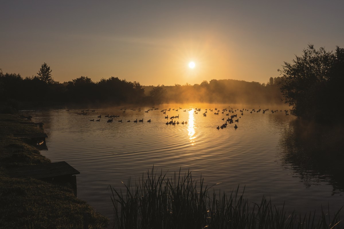 Lake View at Primrose Valley