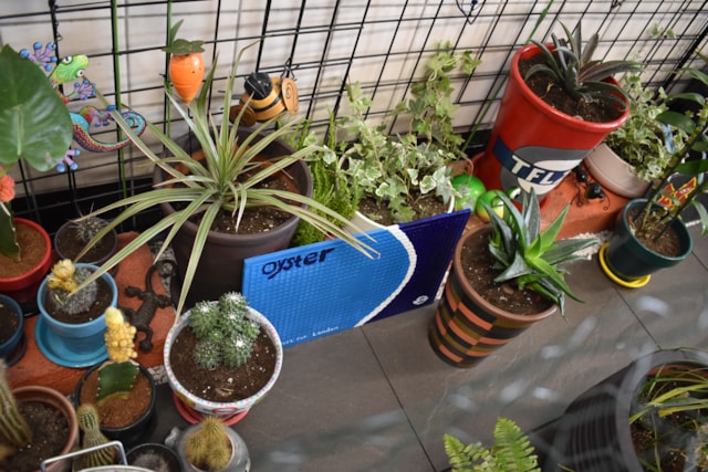 TfL Image - In Bloom 2025 Highbury and Islington