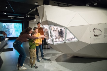 Life-sized 3D model of a megalodon, featured in GIANTS. Photo (c) RBINS (1)
