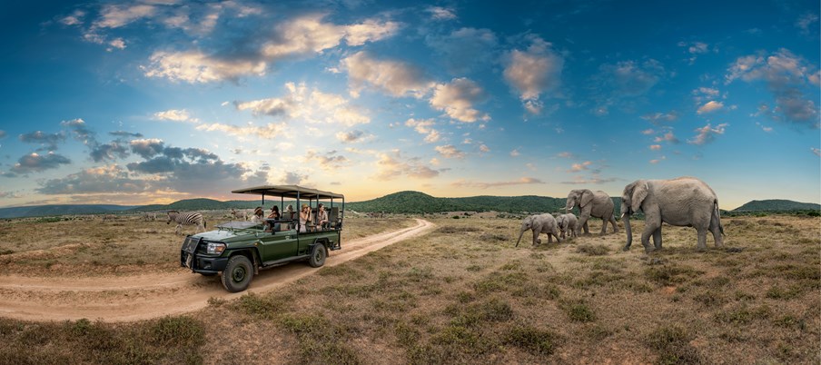 Saga’s new flagship ‘Tailor-Made Travel by Saga’ holidays rewrites travel for people over 50: Best of South Africa’s Cape & Safari
