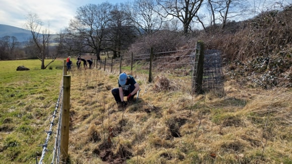 Tree-mendous work helping to improve the condition of our rivers: Image 2-22