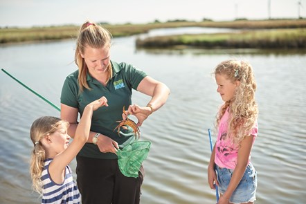 Nature Rockz Pond Dipping at Thorpe Park