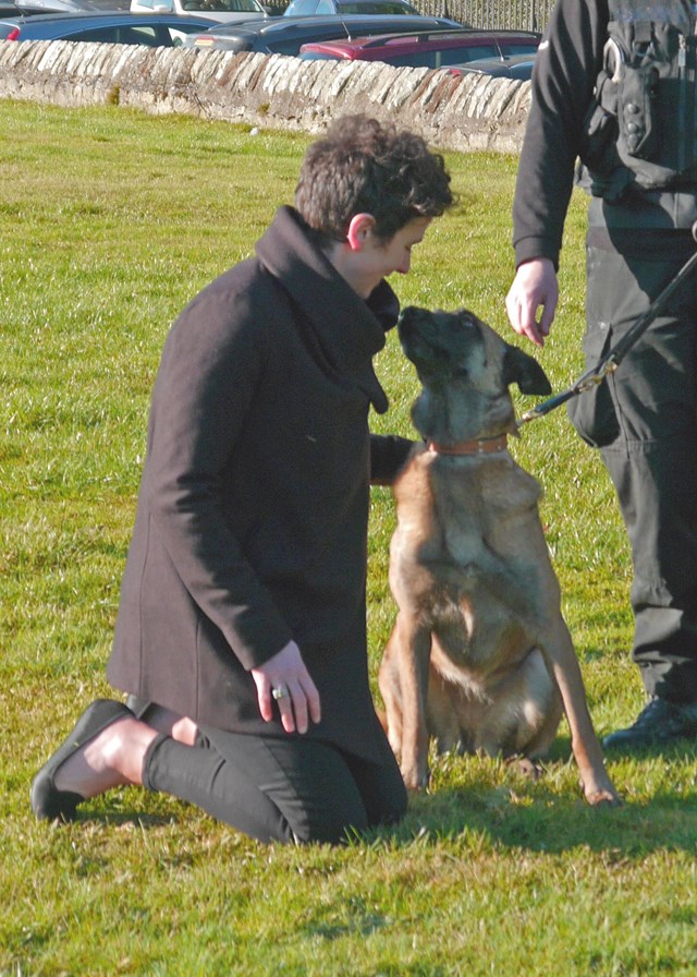 Minister for Rural Affairs meets police dog: Mairi Gougeon, the Minister for Rural Affairs and the Natural Environment, meets Police Scotland general use dog PD 'Draak' - a four year old Belgian Malinois. Image taken with handler (anonymous) at Fettes Police Station, Edinburgh