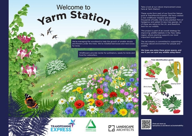 Yarm biodiversity project-8