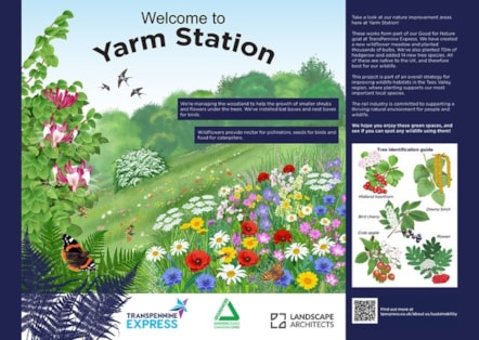 Yarm biodiversity project-8