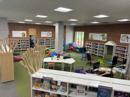 Elgin Library 4