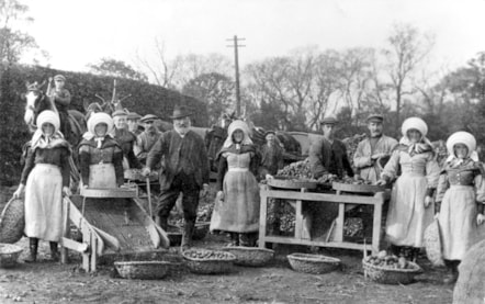 Potato harvesters in traditional farm servant clothes with tattie skulls. SLA.C.2599