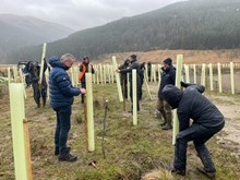 Planting trees on the banks of the River Larig -  image credit Forth Rivers Trust