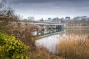 Cardigan Bridge (5): Cardigan Bridge (5)
