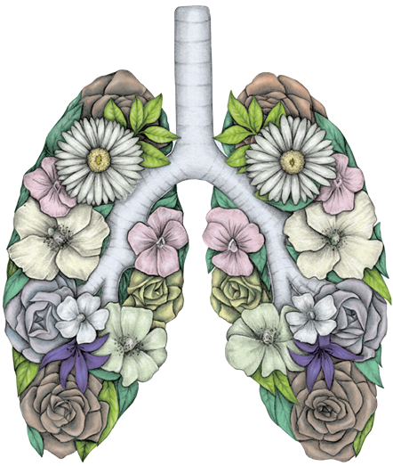 Organ Donation - Lungs - Illustration - PNG
