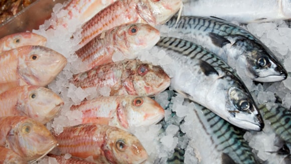 Microplastics research findings welcomed by Seafish: Seafish-148 - Large (1)