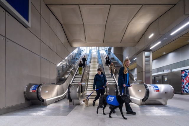 Battersea Cats & Dogs Home team inside Battersea Power Station - credit Charlie Round-Turner