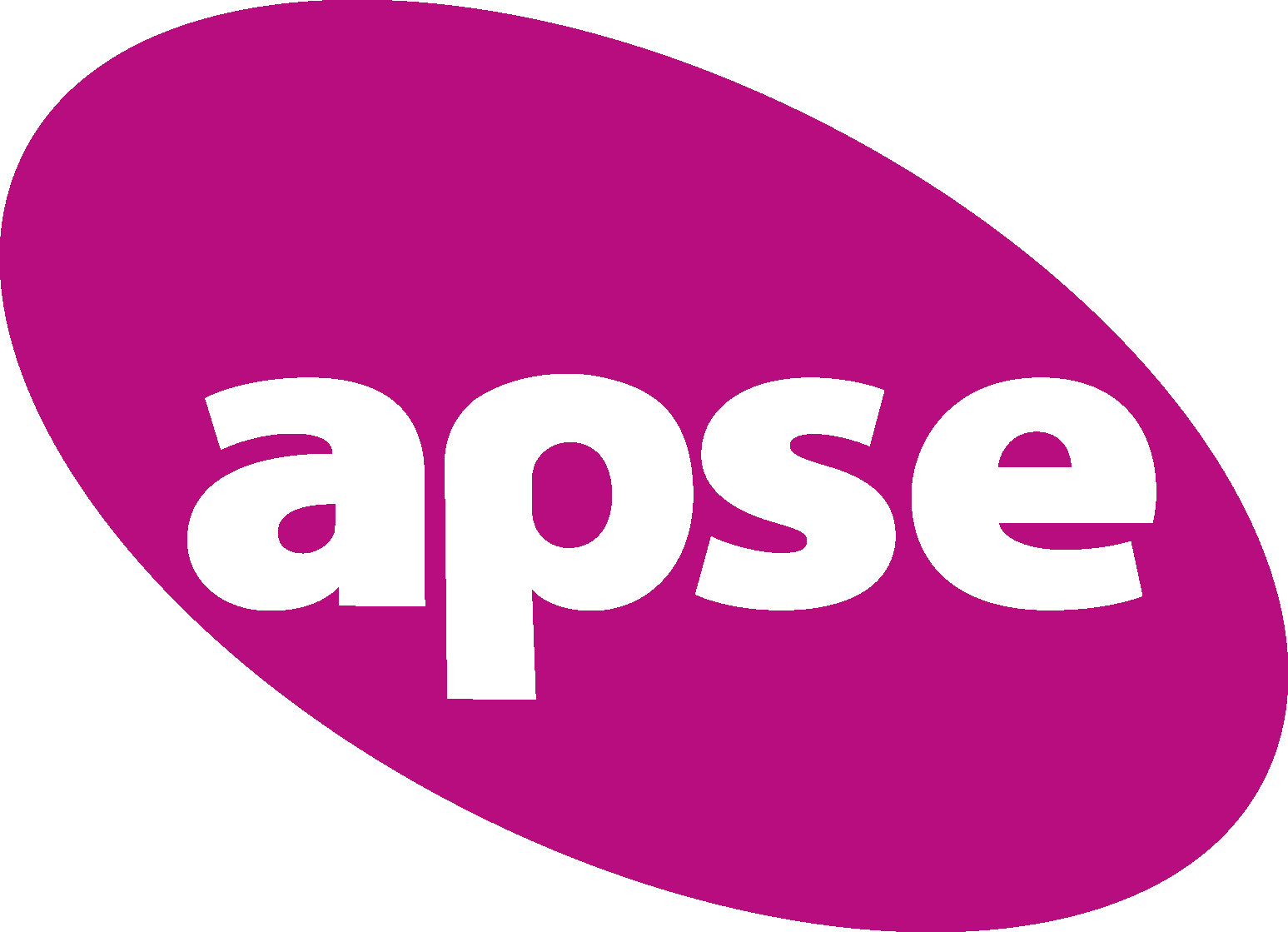 APSE Logo(no Border) | Reading Borough Council News