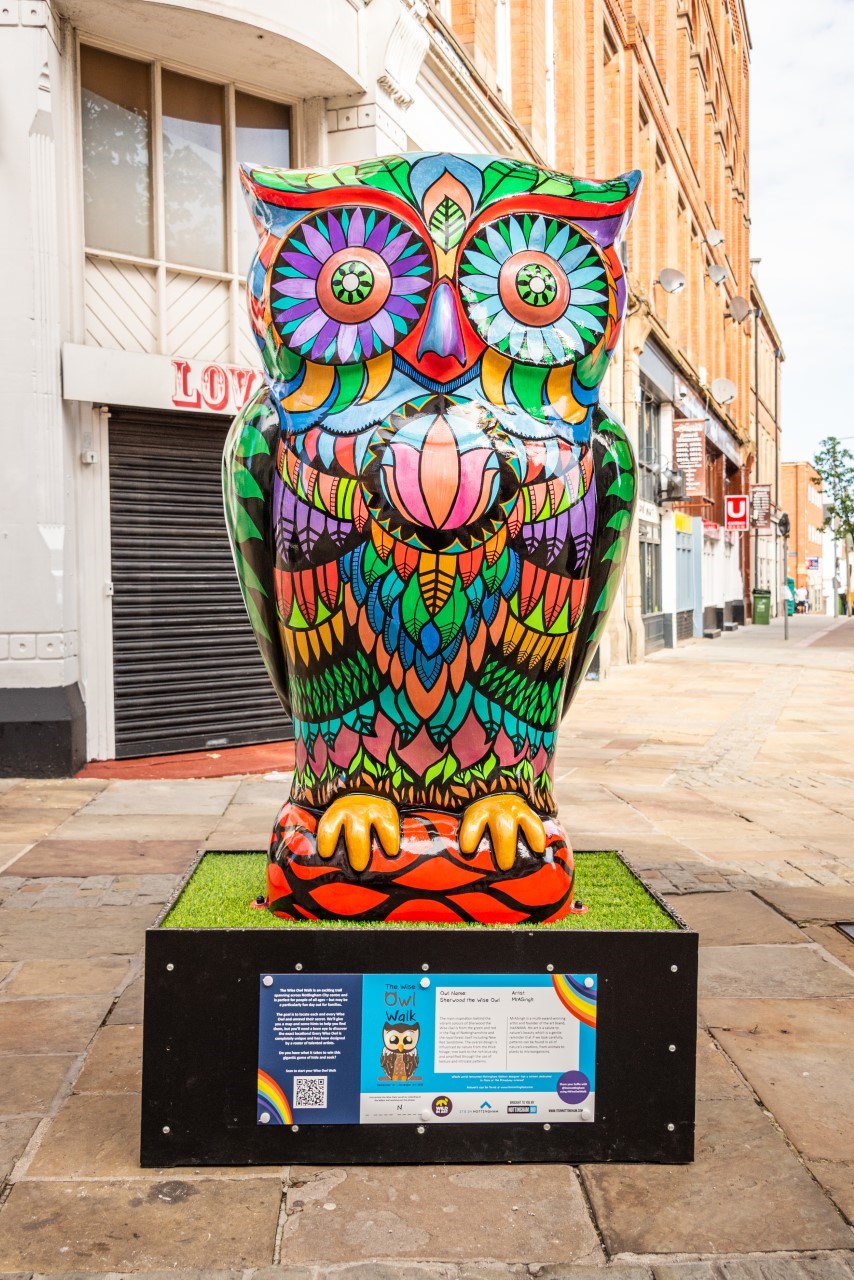 Nottingham Owls 2