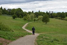 Fernbrae Meadows  June 2019 JPEG Image Height 720px m186324