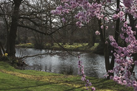 Gunton Hall Grounds