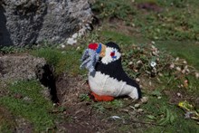 Fife's Knitted Nature - Puffin on the Isle of May - credit Celine Marchbank: Fife's Knitted Nature - Puffin on the Isle of May (credit Celine Marchbank).