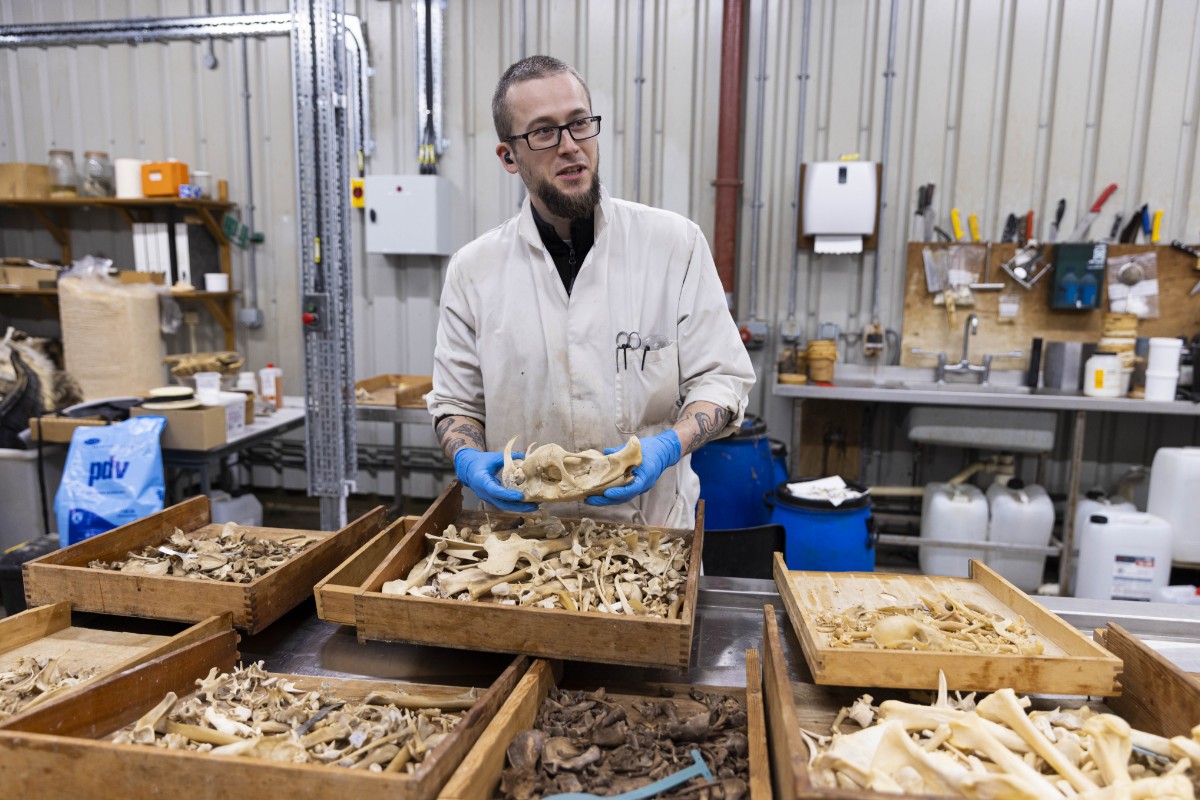 Natural Sciences at the National Museums Collection Centre © Duncan McGlynn-19