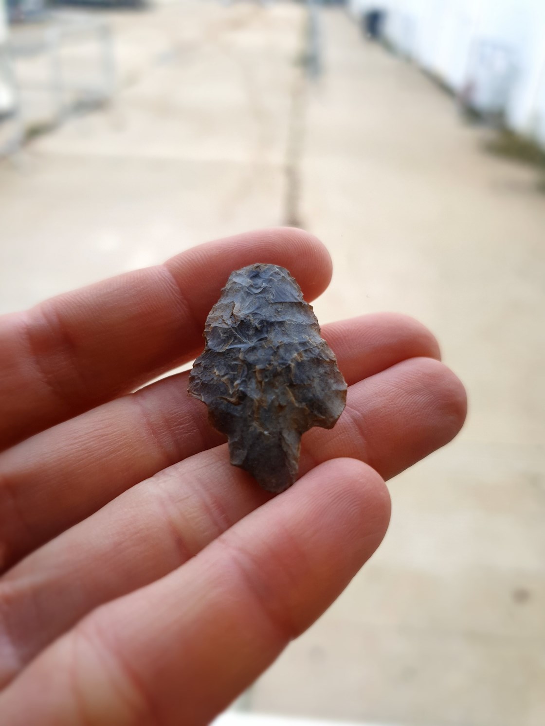 Likely early Bronze Age flint arrowhead uncovered during archaeological excavations at Fleet Marston, near Aylesbury, Buckinghamshire.: Flint arrowhead uncovered during archaeological excavations at Fleet Marston, near Aylesbury, Buckinghamshire. Excavations took place during 2021.

Tags: Archaeology, Heritage, artefacts, History, Excavations