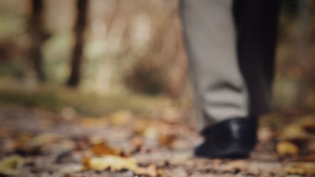 walking-12