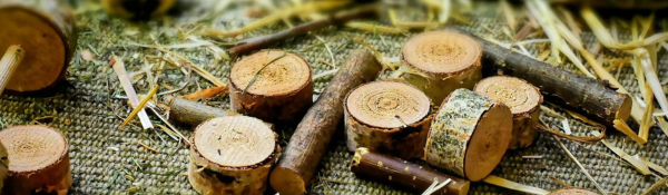 Children's Festive Craft Workshop  Wood Slice Tree Decorations