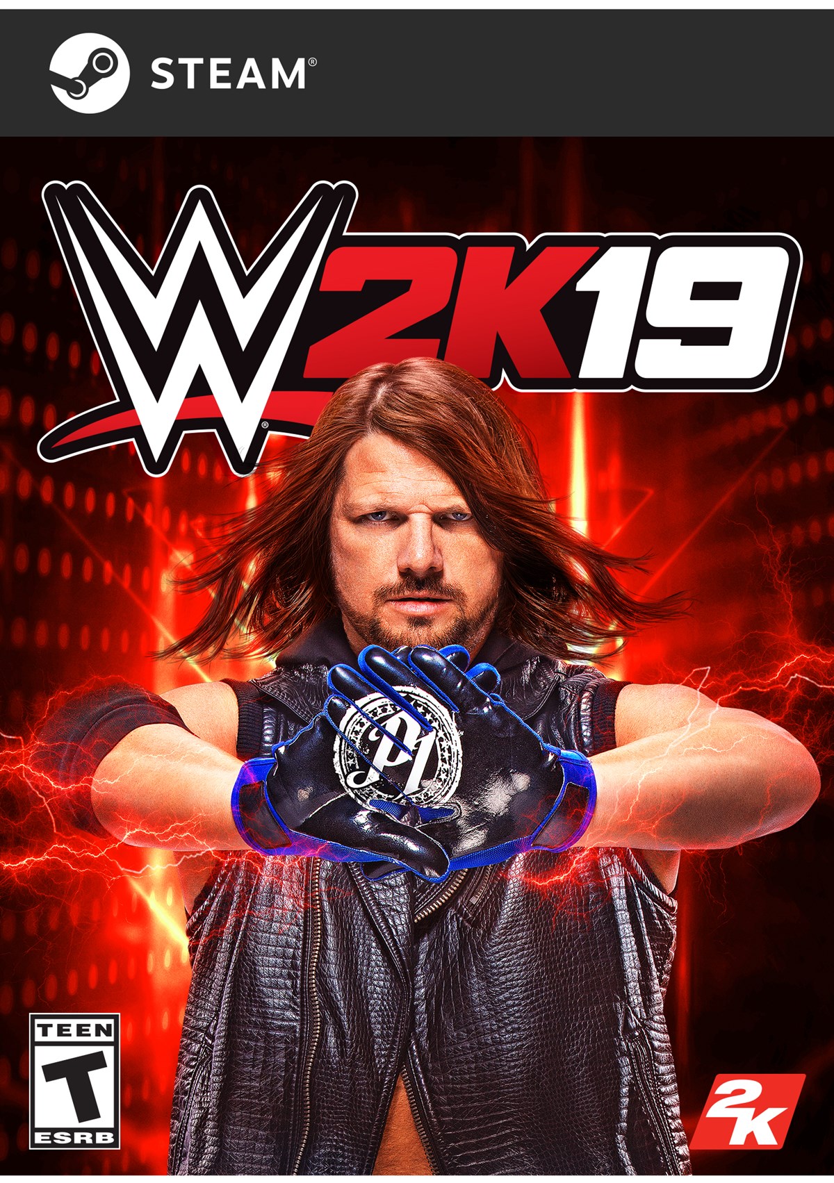 WWE2K19 SE STEAM FOB (ESRB)