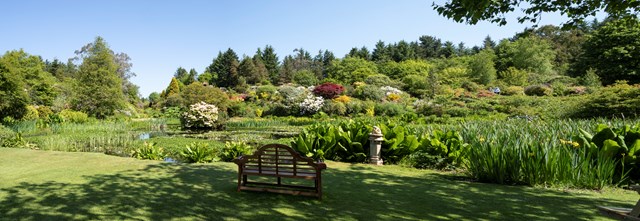 HES - Glenwhan Gardens, general view of garden from lawn looking north