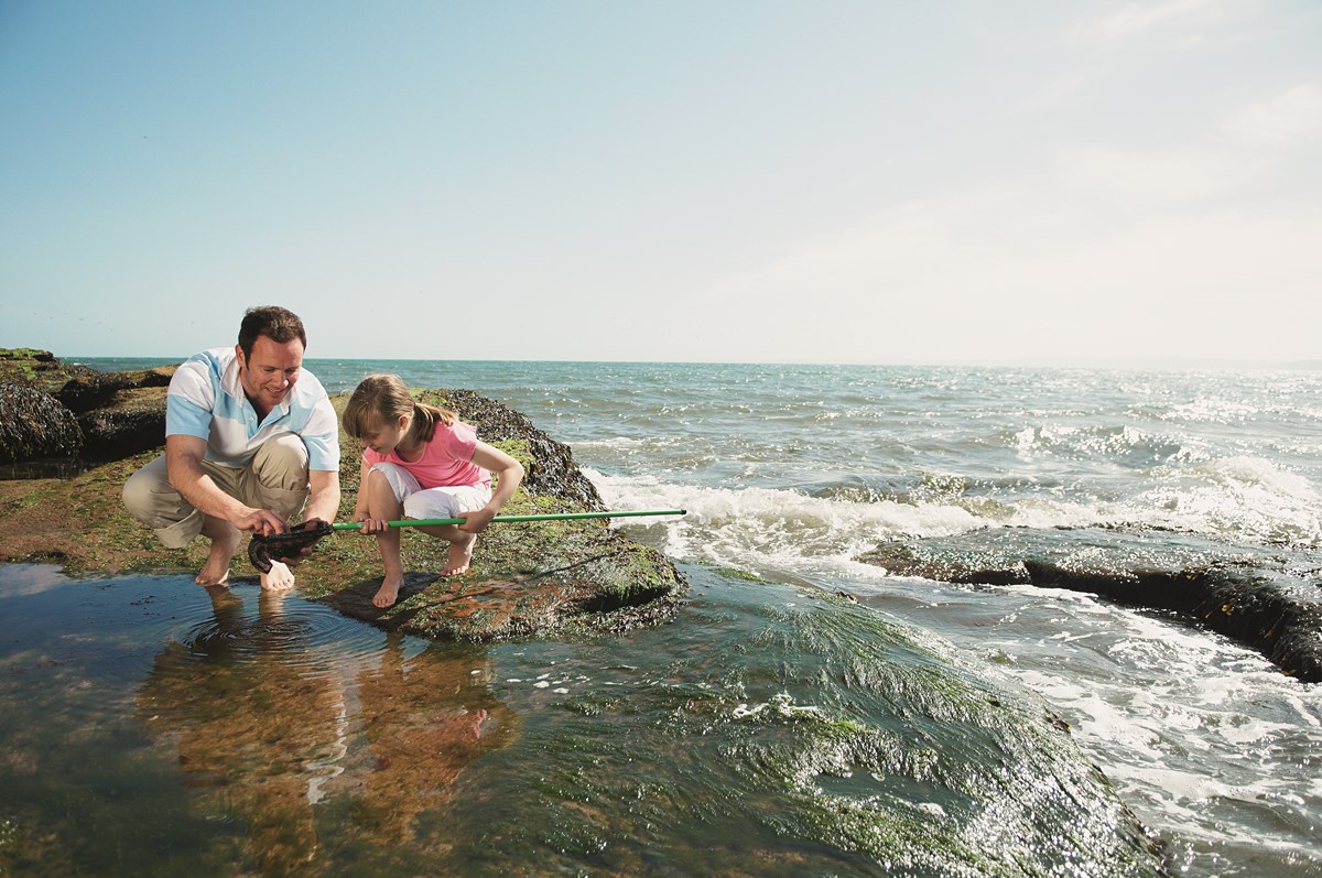 Rock Pooling at Devon Cliffs