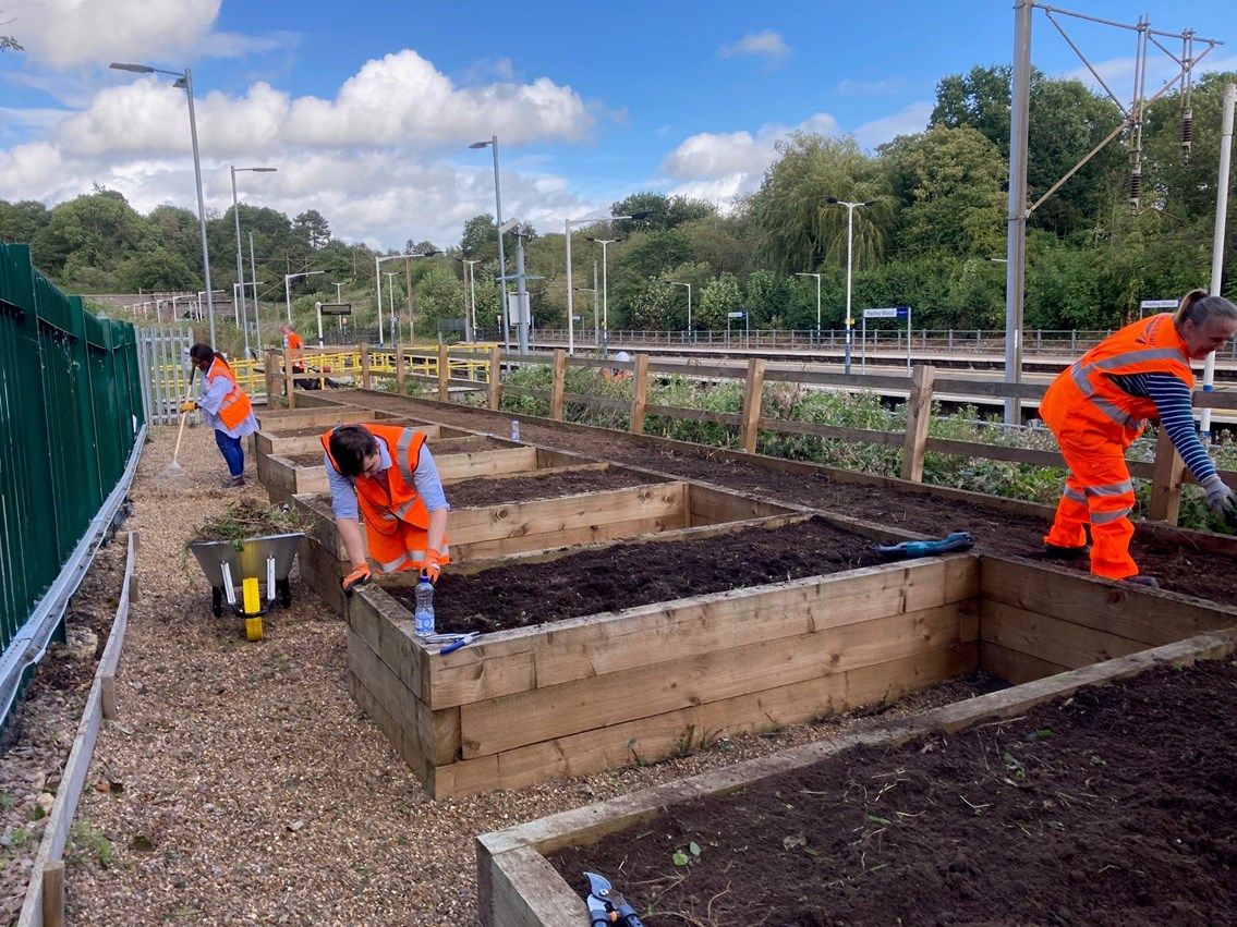 Network Rail joins Great Northern to tidy up Hadley Wood flowerbeds: Network Rail joins Great Northern to tidy up Hadley Wood flowerbeds