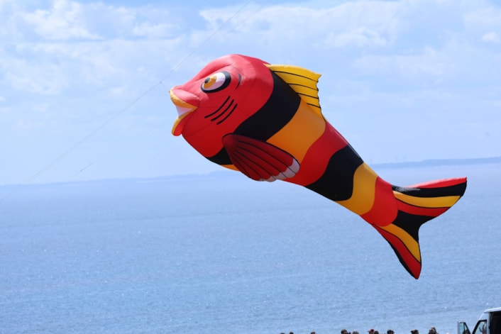 Kite Festival 3: Lotherton is hosting its first ever kite festival, on 22 and 23 August 2025.
Credit: The Northern Kite Group