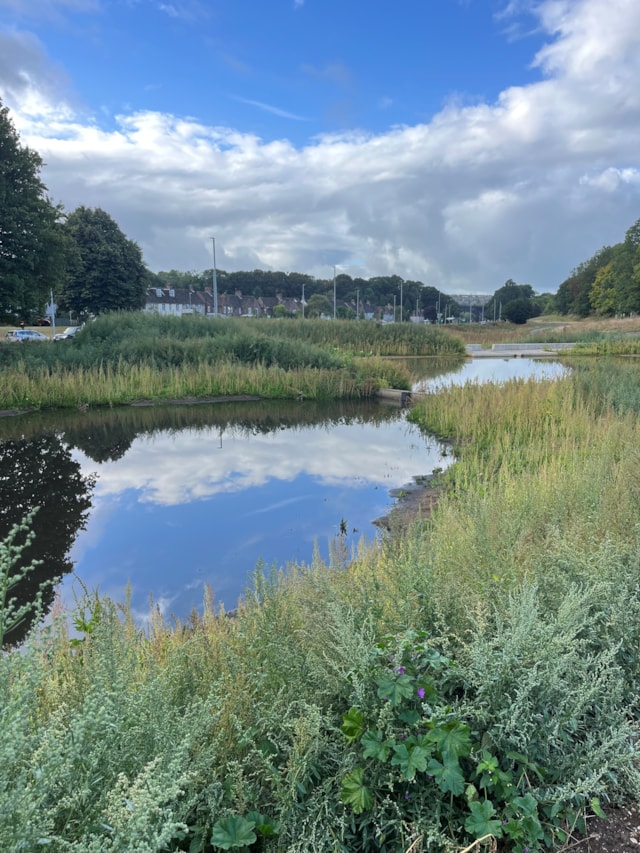 Wild Park Rainscape ©The Living Coast-Roderick Wilson