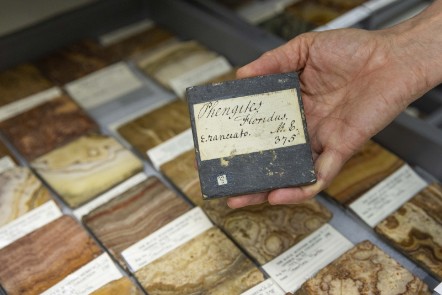 Natural Sciences at the National Museums Collection Centre © Duncan McGlynn